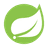 Spring logo