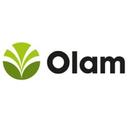 Olam logo