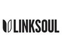 Linksoul logo
