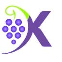 Kartezya logo