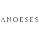 Anoeses logo