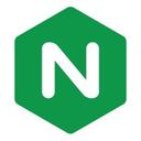 NGINX logo