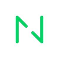 Netguru logo