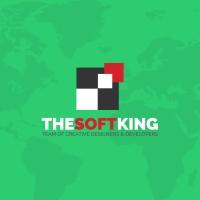 THESOFTKING Limited logo