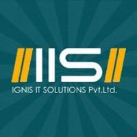 Ignis IT Solutions logo