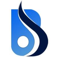 Baniwal Infotech Pvt. Ltd. logo