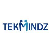 Samin TekMindz India Pvt. Ltd. logo