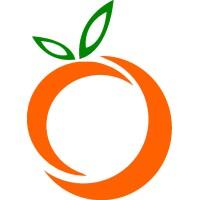 Orange Business Development Ltd. logo