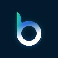 Boopro Technology logo