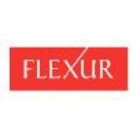 Flexur Systems logo