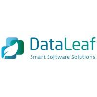 DataLeaf Smart Software Solutions logo