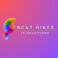 Next Hikes IT Solutions logo