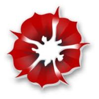 Seyal Infotech logo