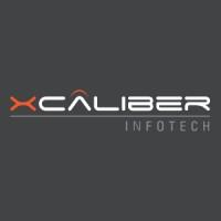 Xcaliber Infotech Pvt. Ltd. logo