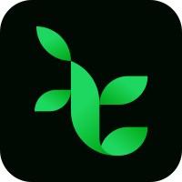 Techivies Solutions logo