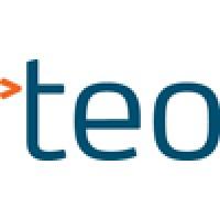 Talented Earth Organization (TEO) International logo