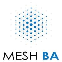 MeshBA Solutions LLP logo