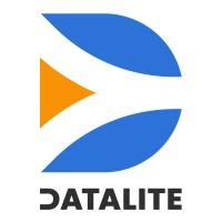 Datalite logo