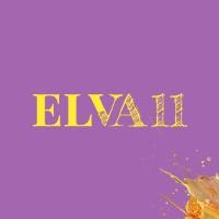 ELVA11 logo