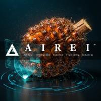 AIREI logo