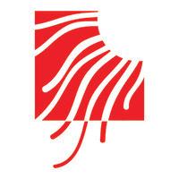 Akira Software Solutions Inc logo