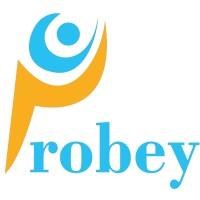 Probey Services Private Limited logo