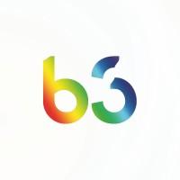 B3 Consulting Group logo