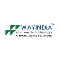 Wayindia Software Solution Pvt. Ltd. logo