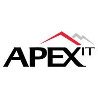 Apex IT logo