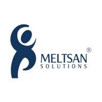 Meltsan Solutions logo