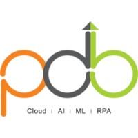 PDB Technologies and Solutions logo