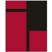 Luminous Infoways logo