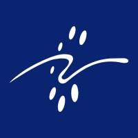 Rays TechServ logo