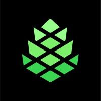 CleverPine logo