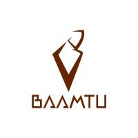 BAAMTU TECHNOLOGIES logo