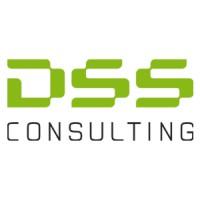 DSS Consulting logo