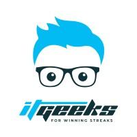 IT-Geeks logo
