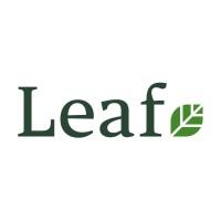Leaf logo
