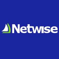 Netwise logo