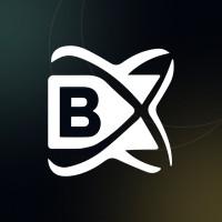 BlockchainX logo