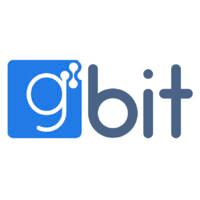 GBIT (Global Bridge InfoTech Inc) logo