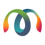 Master Software Solutions logo