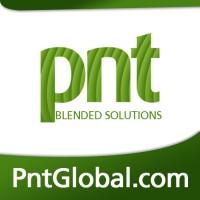 PNT Global | IT Consultants | SEO | AI enabled Software logo