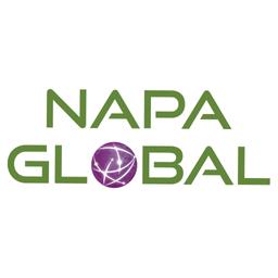 NAPA Global logo
