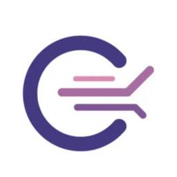 Cleverix logo