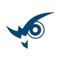 Wise Vision logo