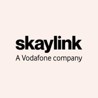 SKAYLINK.LT logo