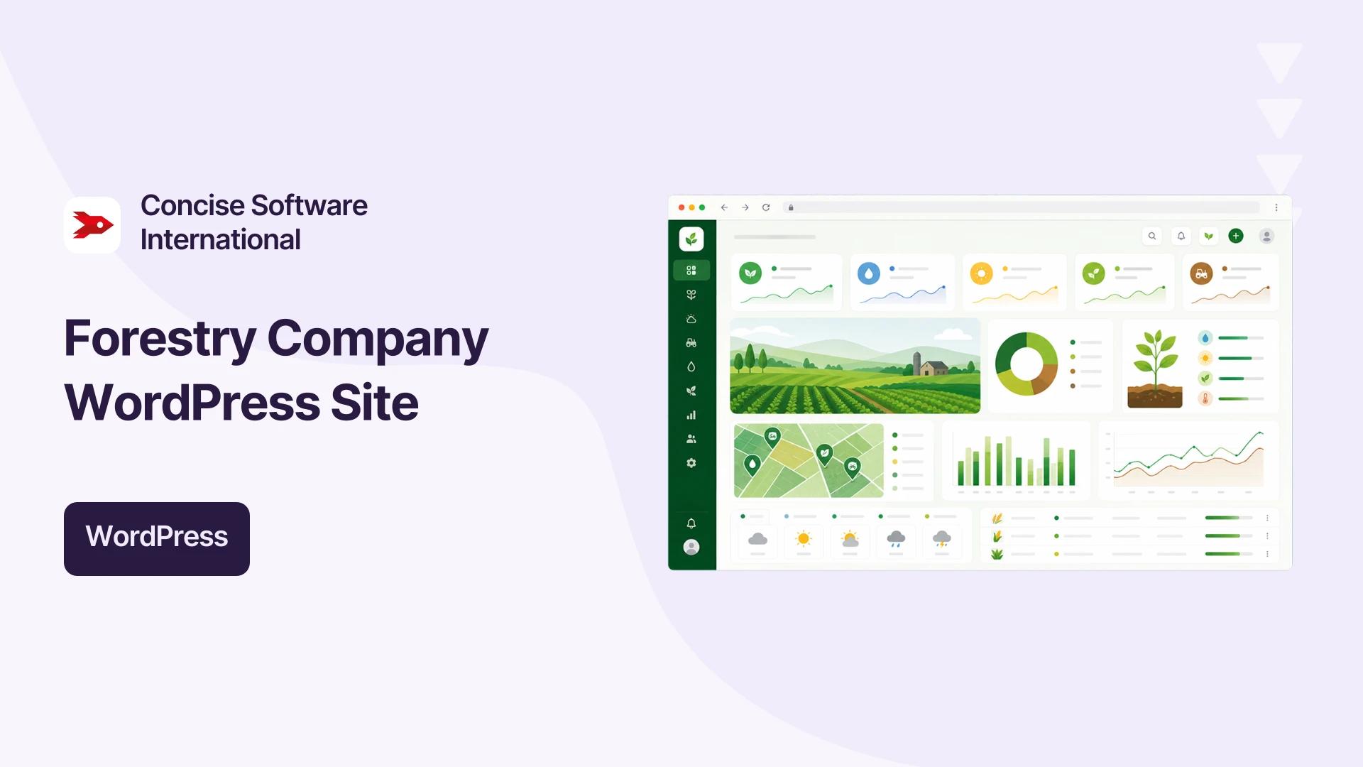 Project hero — replace with case study imagery
