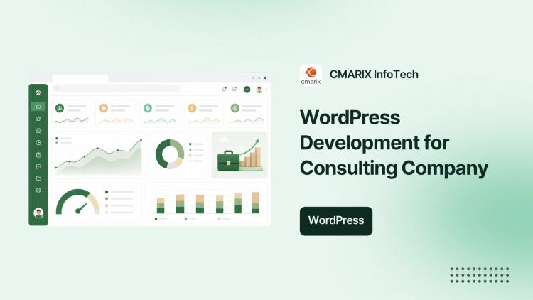 Preview of the Ongoing WordPress Maintenance & Development for Consulting Firm