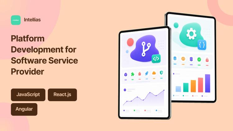 Preview of the Platform Development for Software Service Provider
